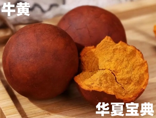 牛 黄[牛胆囊结石-中药名]