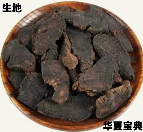 鲜生地[草本植物中药名]