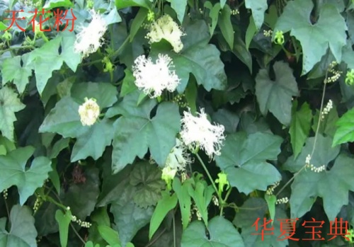 27_im_副本.jpg