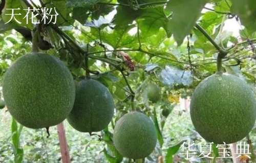 32_im_副本.jpg