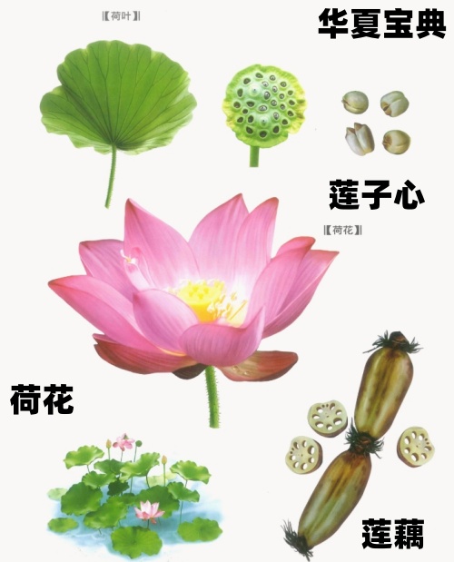 34_im_副本.jpg