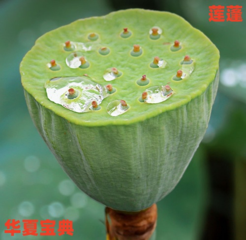 71_im_副本.jpg