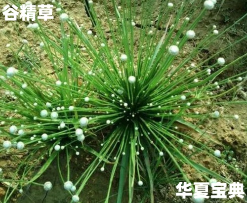 34_im_副本.jpg