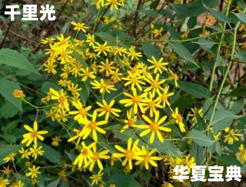 23_im_副本.jpg