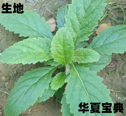 915_im_副本.jpg