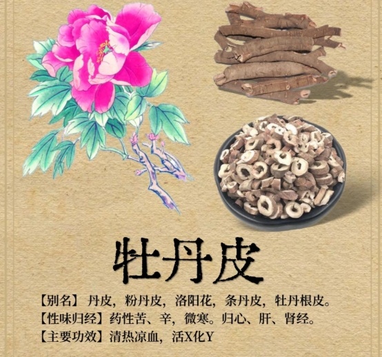 1769430467364952.jpg 717_im_副本.jpg