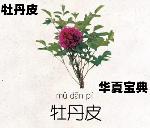 1769430653625995.jpg 49_im_副本.jpg